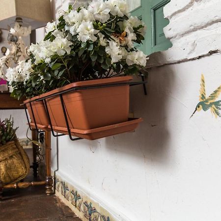 Patio Marquez Bed & Breakfast Cordoba Exterior photo